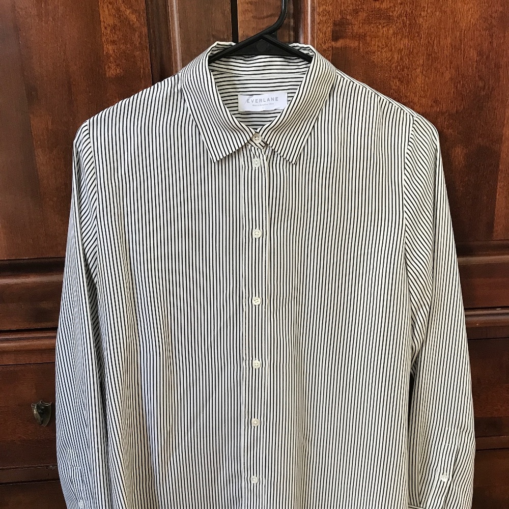 Everlane Silk Dress Shirt
